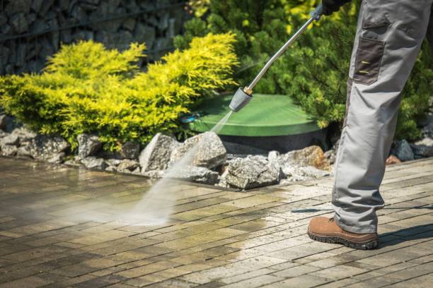 Pre-Holiday Cleaning in Wescosville, PA
